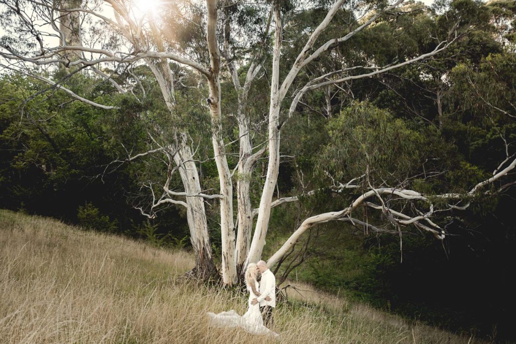 Glen Albyn Wedding - Hobart Wedding Photographer - Island 26 - Tony Lomas