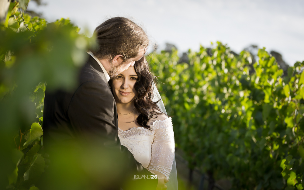 Hobart Wedding Photographer | Frogmore Creek Winery